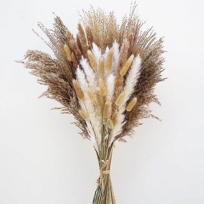 Small Dried Reed Flower Bouquet, Rabbit Tail Grass, Dusting Reed, Lavender, Eucalyptus Combination, Home Decoration, Flower Arrangement Finished Product