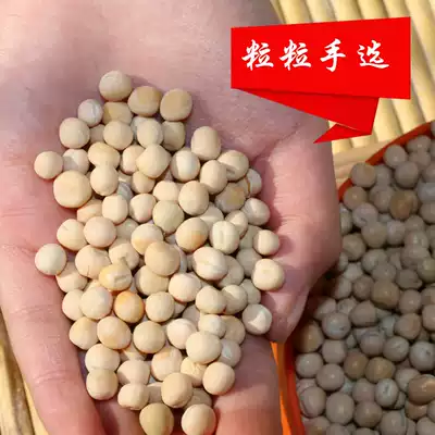 Farmers grow white peas, raw and dried peas 250g cold beans, wheat beans, Chongqing noodles, raw sprouts, seeds