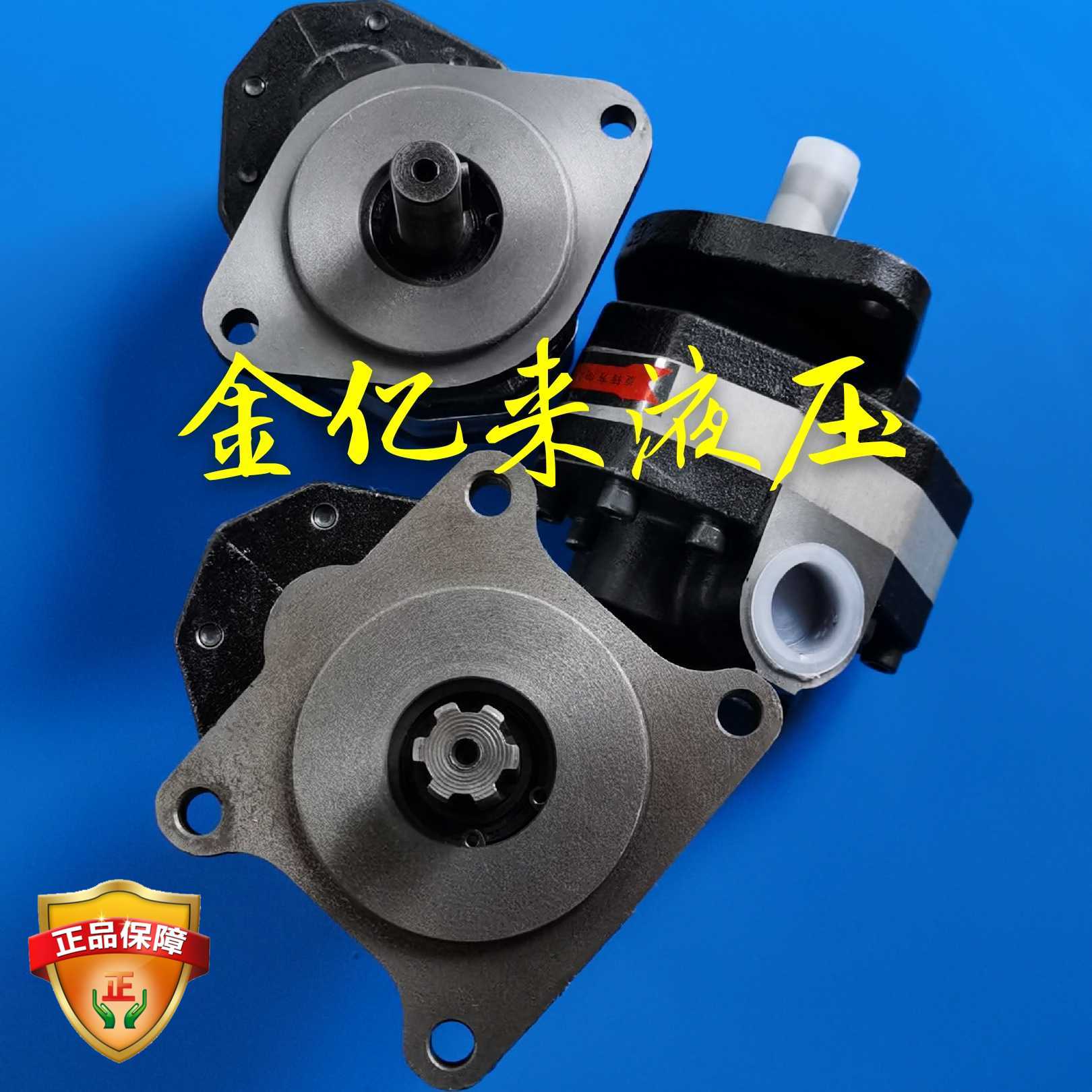 Gear oil pump CB-FC25P-FL FC32P FC40P CB-FA10C-FL FA25C FA40C
