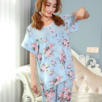 Цветок неба голубого пиона