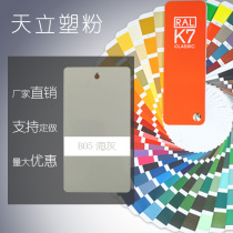 Plastic Powder Polymer Coatings Ice Ash Aircraft Ash Marine Light Green Y01 Camper