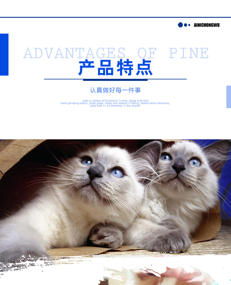 Kem dinh dưỡng mèo Kang yêu thích mới, chất béo, bổ sung vitamin, dạ dày, kem dưỡng tóc, đặc biệt - Cat / Dog Health bổ sung sữa bột cho chó