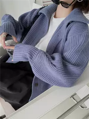 Blue lazy lantern sleeve sweater jacket women's 2021 spring women's Korean loose knitted cardigan outer wear