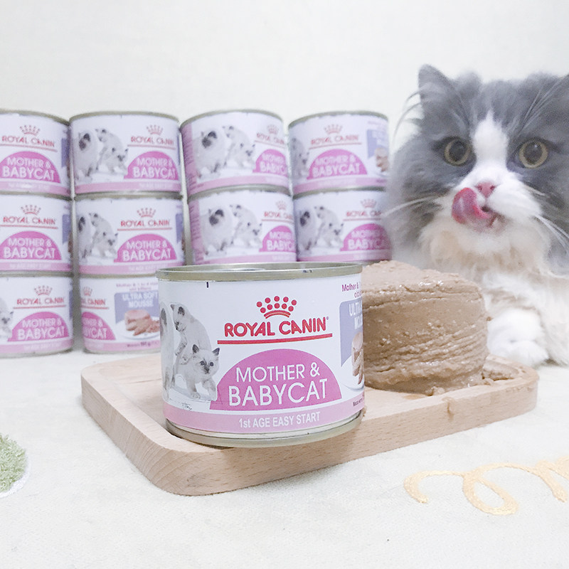 French imports Royal 1-4-month old cat milk pummels Canned Rich the Nutritional Withdrawal period Transition can be tested