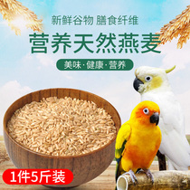 Bird grain oatmeal Xuanjin Sun Peony Phoenix Tiger Skin Monk Parrot Feed Oat Rice Wild Wheat Sparrow Bird Food 5 Jin