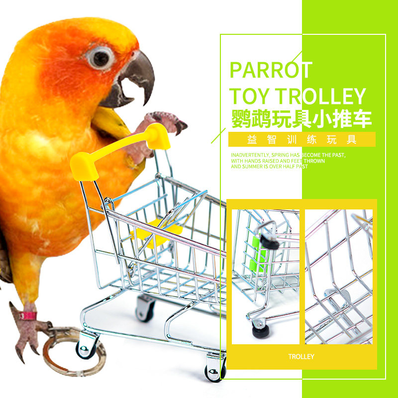 Parrot trolley educational training toy Xuanfeng small sun eclectic gray parrot bird with shopping cart to shoot takraw