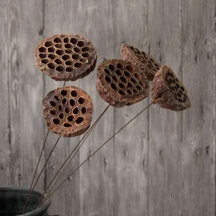 (Dailian Fluffy) Natural Seedless Dry Lotus Parlor Livingroom Floor Lotus Drying Florist Residence Decoration For Buddha Shooting Props