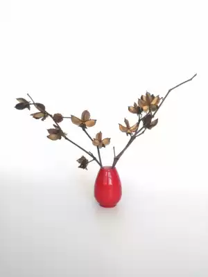 (Cotton shell) literary retro nostalgic dry flower Dry Branch home dining room club decoration art dry flower cotton shell