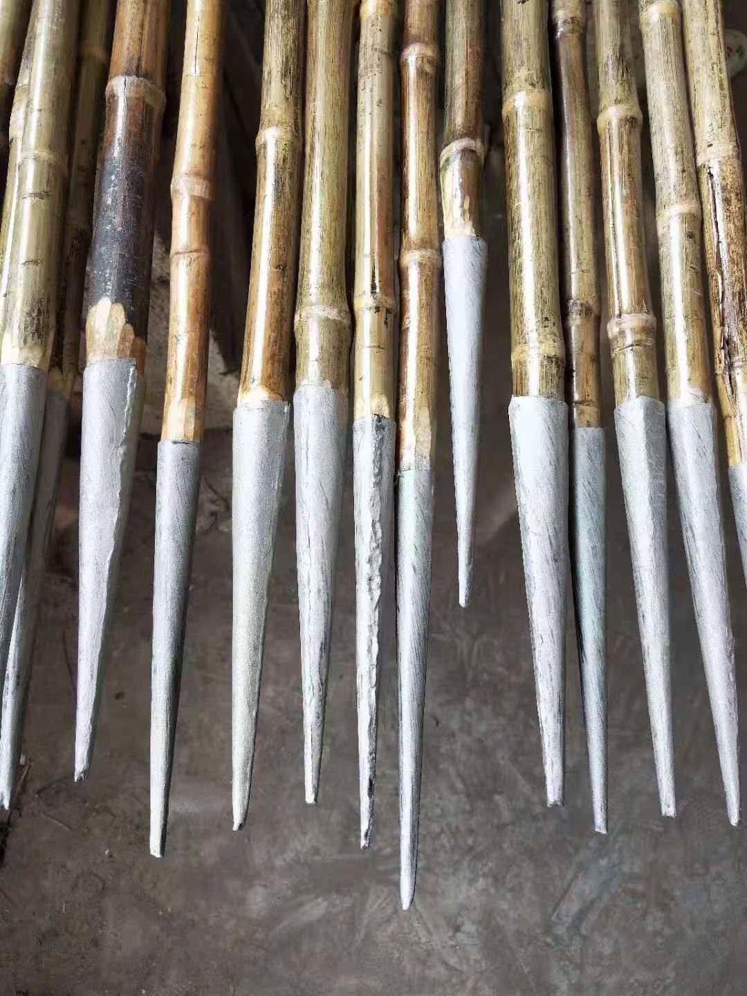 Track and field equipment ordinary bamboo javelin school training professional track and field javelin factory direct sales