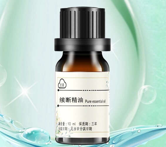 续断精油10ml 身体按摩单方精油需稀释后使用