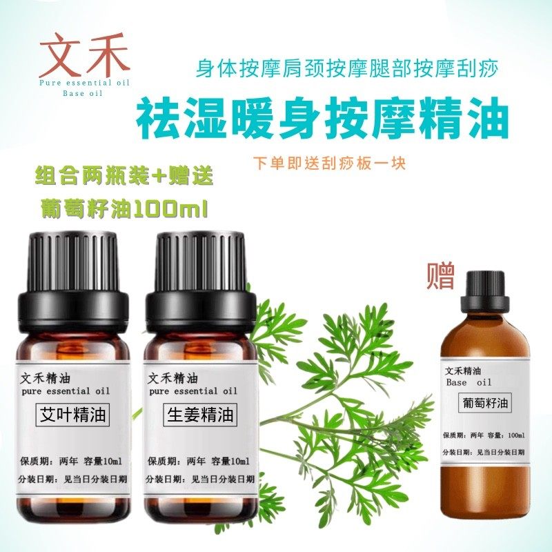 （三瓶装）身体按摩精油艾叶生姜暖身精油  刮痧通经络单方 祛湿