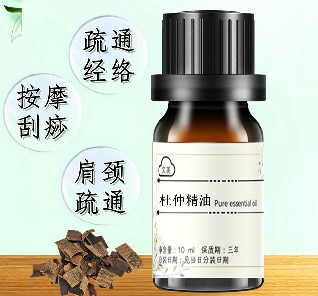 杜仲精油10ml单方植物肩颈疏通腰椎按摩男性肾部滋养掌灸全身刮痧