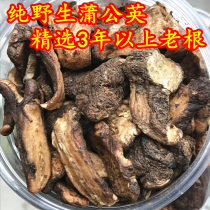 Dandelion tea wins Changbaishan natural dandelion wild with root dry pure mother-in-law Ding premium root 250g