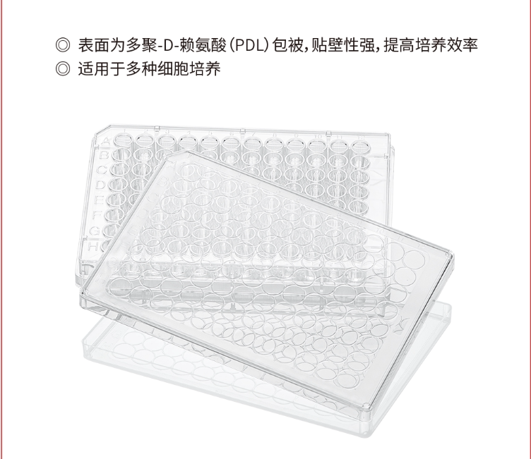 甄选 11530 96孔细胞培养板,多聚-D-赖氨酸包被表面 替换康宁3841