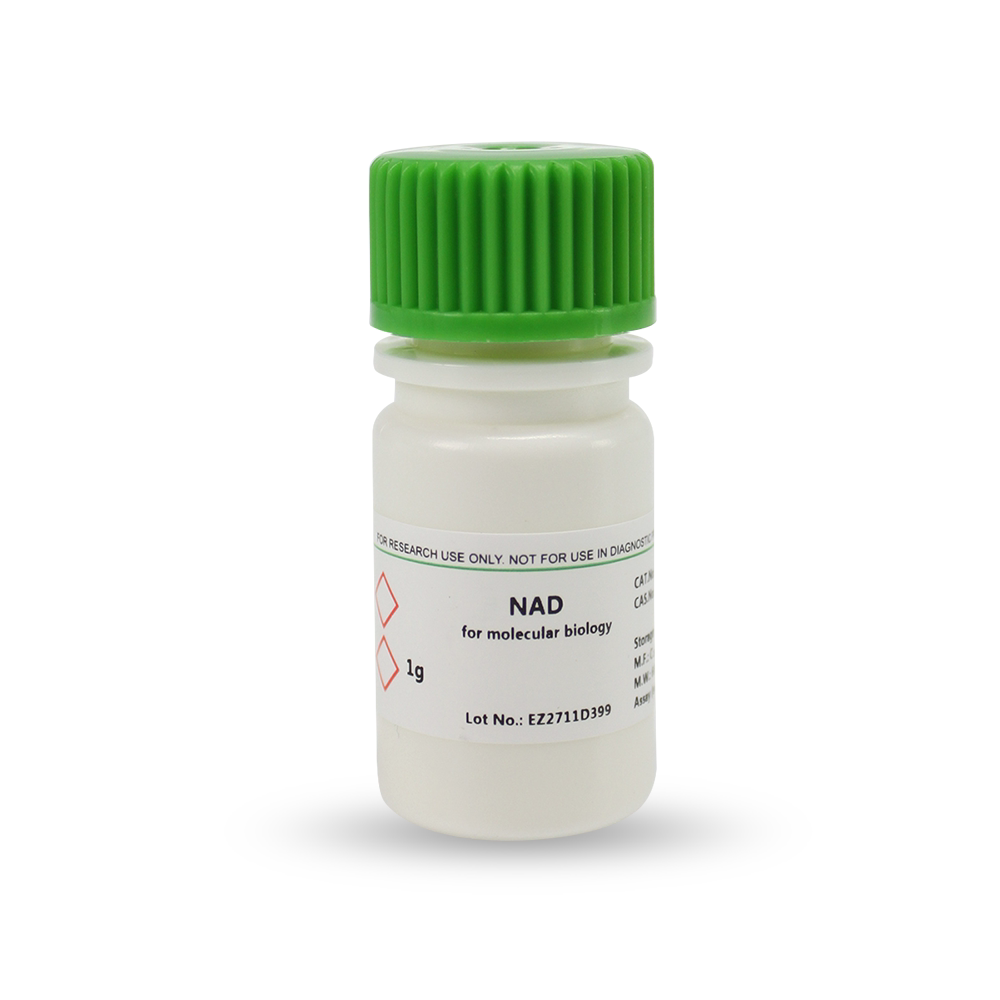 BioFroxx 1113GR001 氧化型辅酶I [NAD] 1g