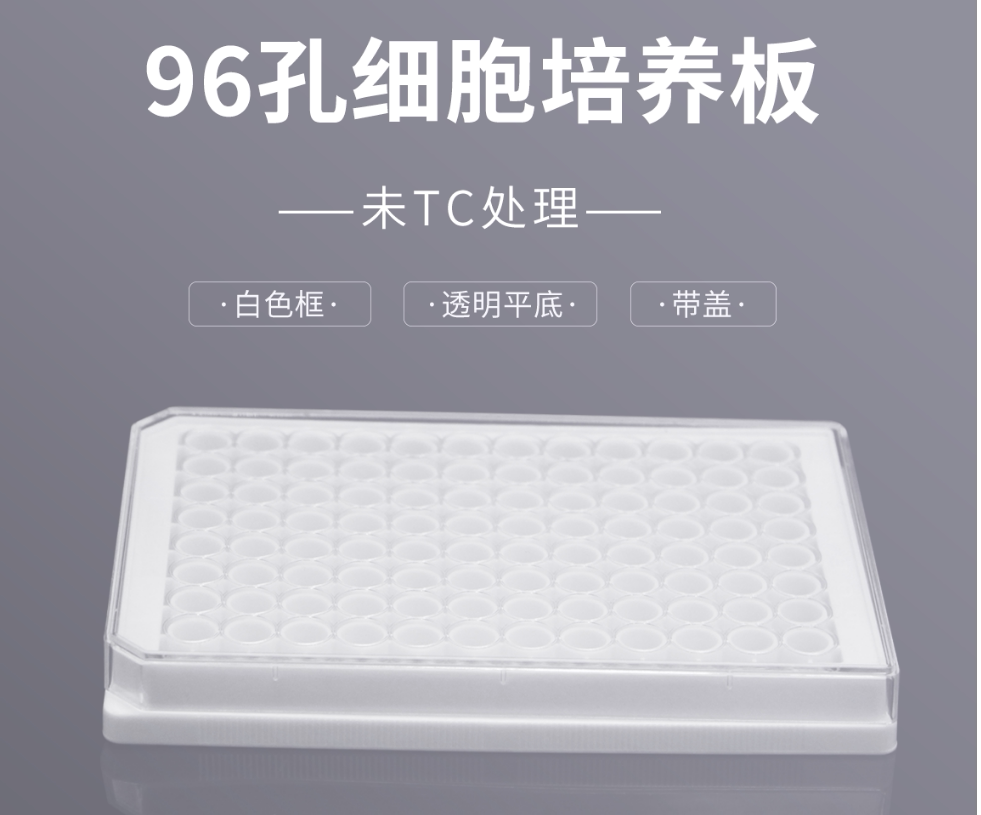 11545 96孔细胞培养板白色框透明平底未TC处理替换康宁 3604 3632