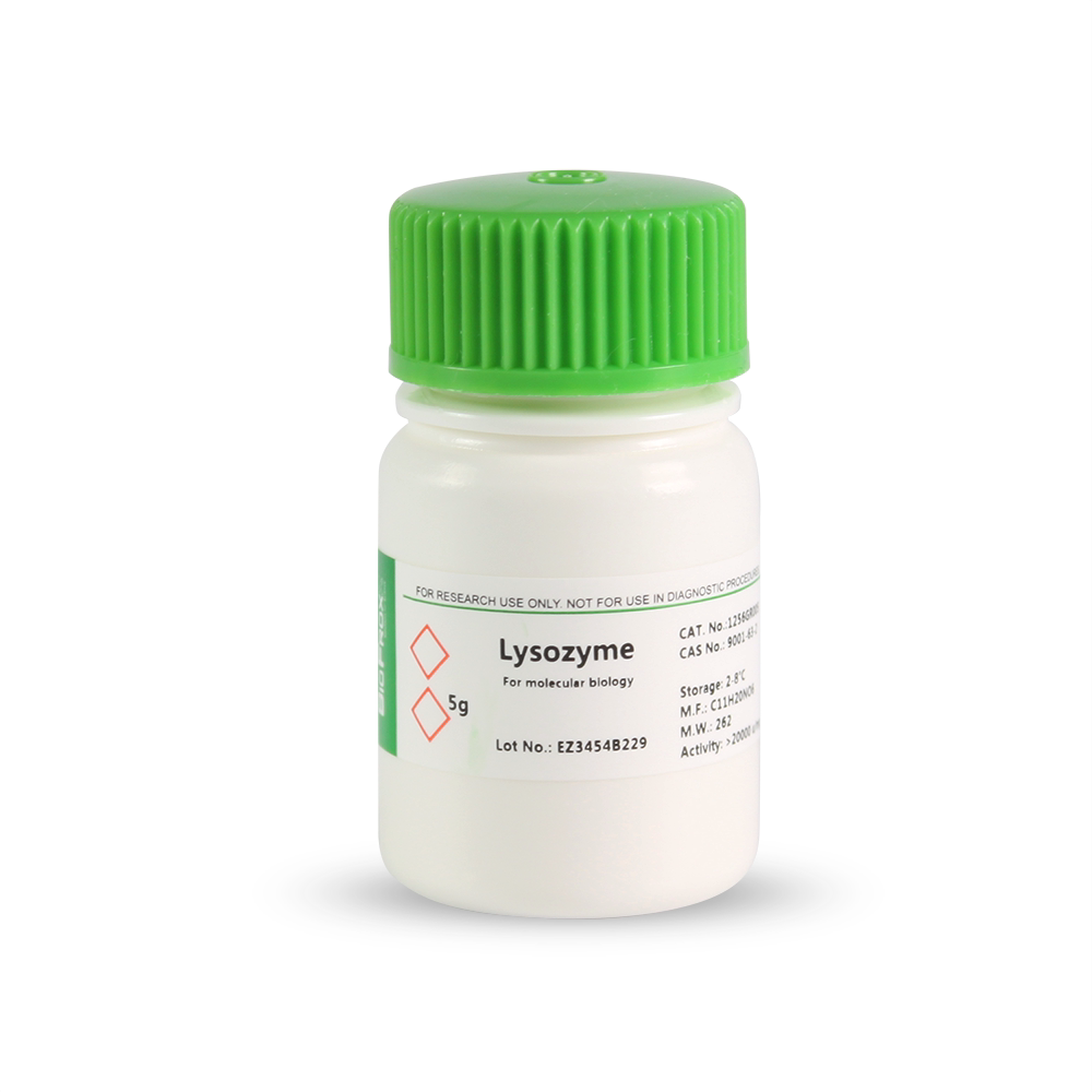 BioFroxx 1256GR005 溶菌酶/Lysozyme(Egg White)-20度 5g