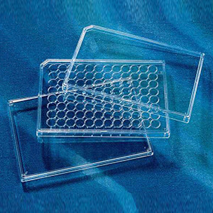 康宁Corning 3930 96孔板盖带角缺口及浓缩环硬质灭菌单个包装