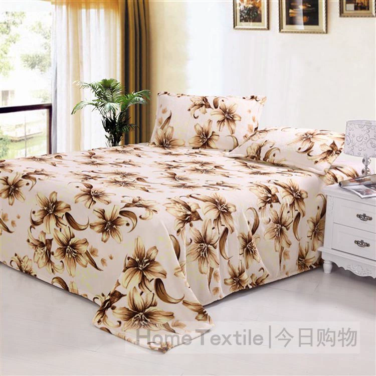 Một cặp gối nhung dày san hô ấm Falais flannel gối đơn bộ đặc biệt gối tựa lưng văn phòng