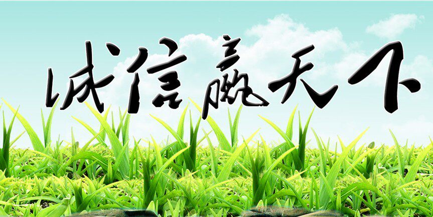 Pompe à vélo - Ref 2389293 Image 3