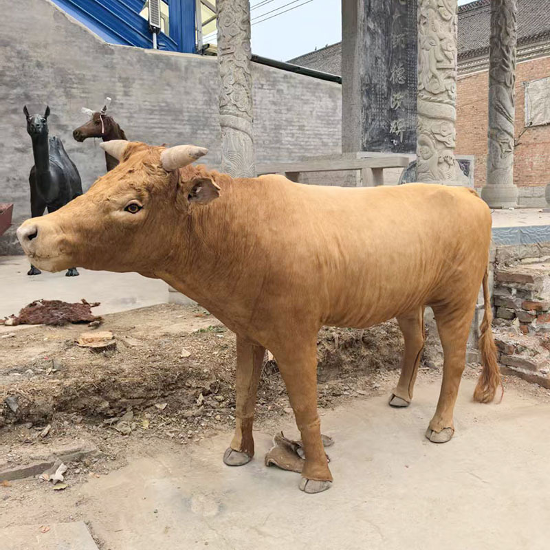 One-To-One Realistic Cow Model Animal, Yellow Cow, Buffalo, Dairy Cow, Store Showroom Exhibition Decoration, Scenic Spot Garden Props