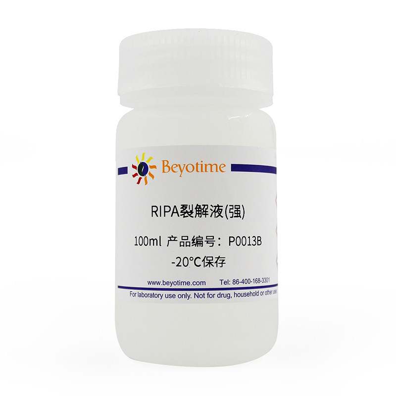 RIPA裂解液(强) P0013B 碧云天生物 Beyotime