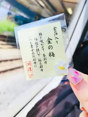 Japan Kamakura Japanese exquisite cute mini plum blossom gold foil whistle purse origin