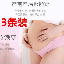 Fat plus size 200kg triangle shorts pregnant women cotton pregnant low waist U-shaped stretch underwear 3