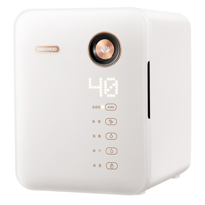 大宇婴儿消毒柜奶瓶消毒器