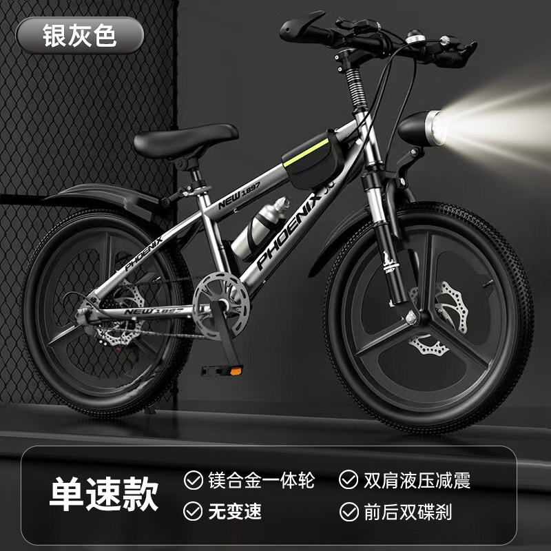 Велосипед детский Phoenix GT 16" серебристый, литые колеса, одна скорость