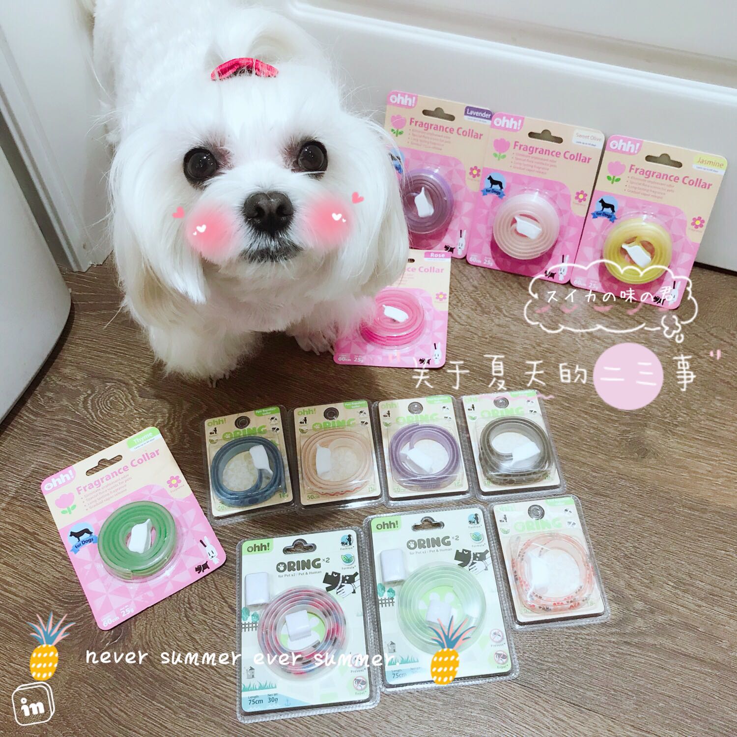 Ohh ~ Summer must start with a Pet Insect Repellent DOG ESSENTIAL OIL DEODORANT ITEM RING DOG NECK RING FLEA