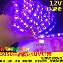 led strip 12V5050 bright waterproof violet light strip 12V Violet light strip UV banknote sterilization fluorescent agent