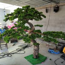 Welcome Guest Pine Simulation Tree Indoor Building View Fake Tree Decoration Pendulum piece Pine Beauty Pine outdoor large simulation pine tree