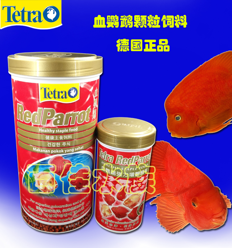 The fish fish and tropical fish blood parrot fish fish fish map fish potentially color and brighten feed