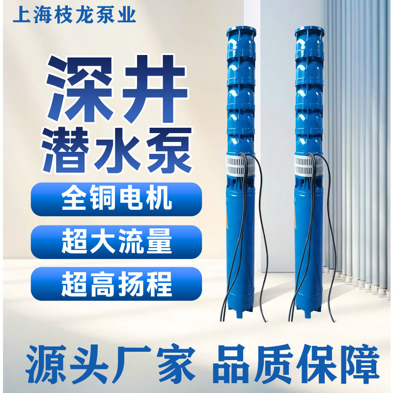 200/250/300/Qj Deep Well Pump 55Kw Submersible Well Pump Well Electric Pump