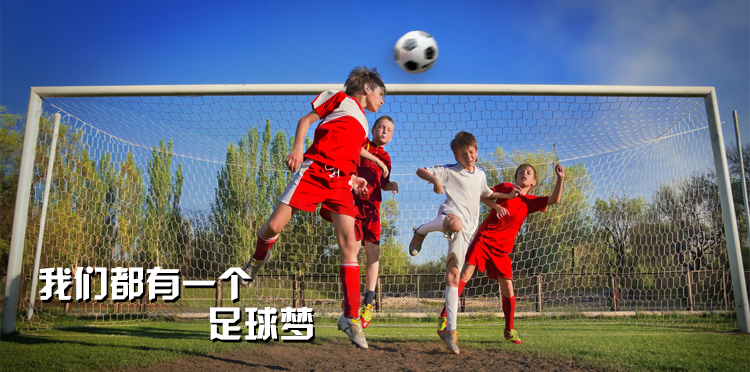 Ballon de foot - Ref 7179 Image 3