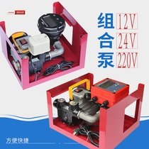 12V24V220V metering refueling pump Automatic diesel refueling machine refueling pump assembly Diesel metering pump Simple