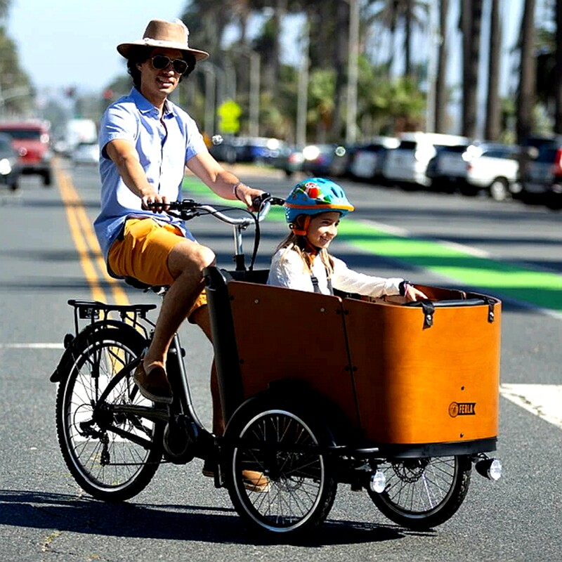 American Ferra Jersey inverted three wheels European with baby god car Hanson cargo bike cargo box bike pet