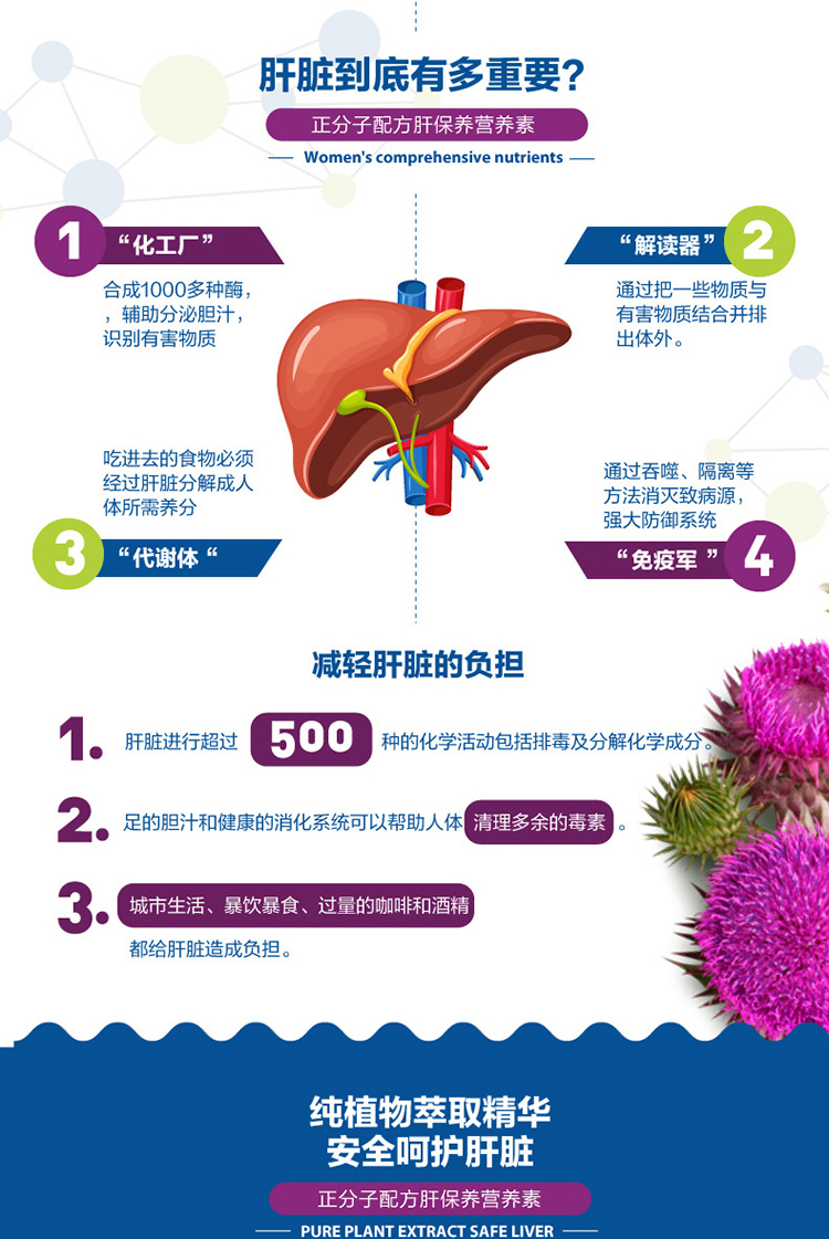 Orthomol 奥适宝Cholin Plus奶蓟草片胶囊