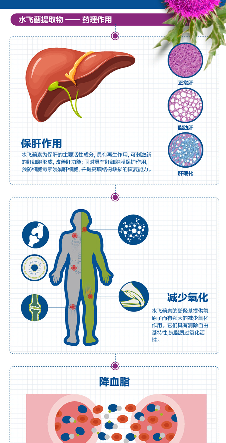 Orthomol 奥适宝Cholin Plus奶蓟草片胶囊