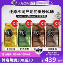 (Self-operated) LAVAZZA Italian original imported iTierra series coffee beans 3 packs