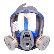 (Self-operated) Meisian gas mask spray painting special mask respiratory protection full face dust mask construction site man