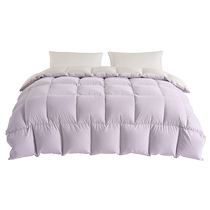 (Self-operated) INTERLAGOS Japanese down quilt 95 goose down winter quilt spring and autumn washable quilt thickened quilt core