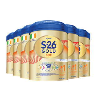 【自营】惠氏金装爱儿乐奶粉港版900g *6进口婴幼儿牛奶原装正品