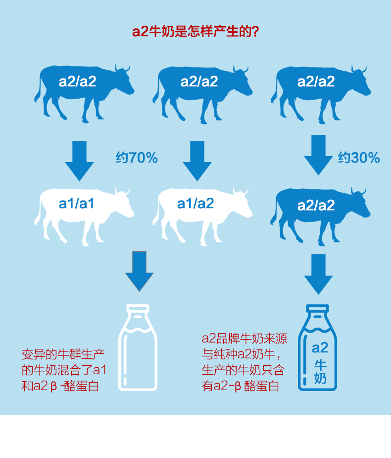 新西兰进口a2脱脂高钙营养乳粉*2