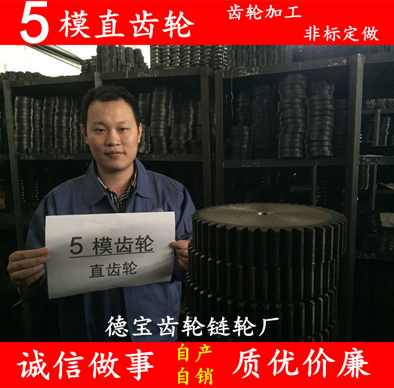 Spur gear 5-die motor gear 5M mechanical gear Spur gear Transmission gear Custom processing large gear