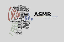 ASMR的历史