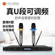 Hivi MV-1000 wireless microphone UH-820 One-for-two handheld microphone conference room stage singing