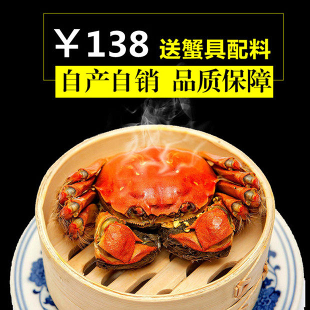 Chongqing Spot 8 only loaded Zhengyang Chengyang Red Paste Large Brake Crab Fresh Crab Whole Mother Crab 2 0-2 2 Groups Purchase-Taobao