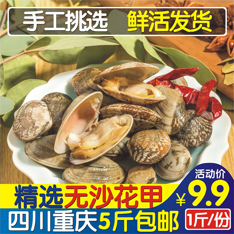 Huajiao fresh 1 catty clam clam clam clam clam clam clam clam clam clam clam clam clam clam clam clam clam clam clam clam clam clam